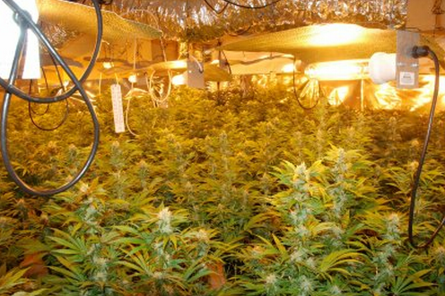 Four Ways America's Views of Pot Are Changing