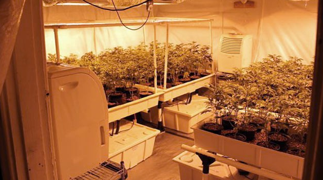 ohio_teen_busted_for_dealing_drugs