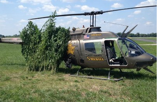 Drought makes it easier for police to spot pot plants