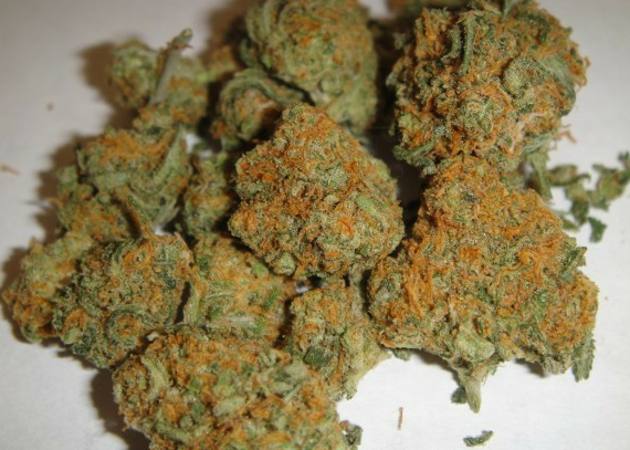 top 9 marijuana stories