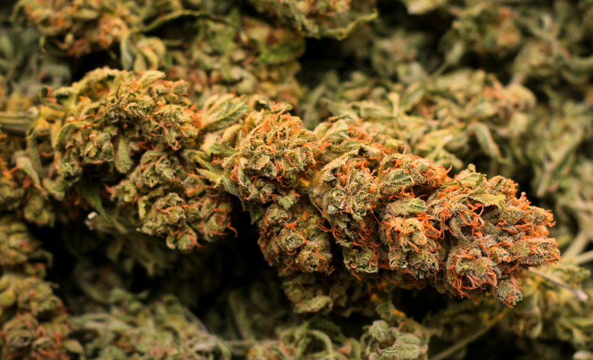 _Marijuana_Legalization_Bill_Introduced_in_New_York_Senate