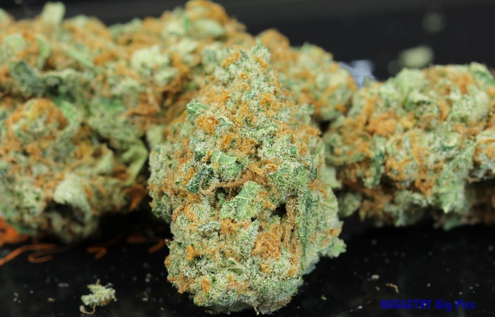 marijuana tours to Colorado’s High Country