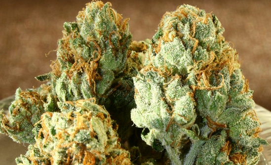 Marijuana_Legalization_Bill_Introduced_in_Oklahoma