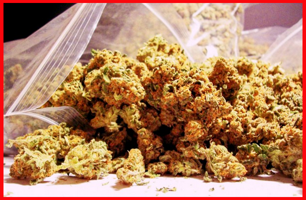 Research Reveals Medical Marijuana Legalization Does Not Increase Crime