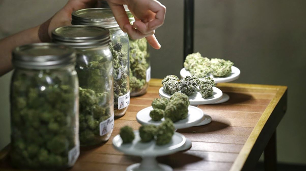 Colorado Dispensaries Sell Over $20 Million In Recreational Marijuana