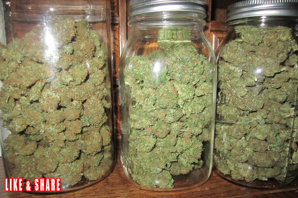 PA MEDICAL MARIJUANA BILL