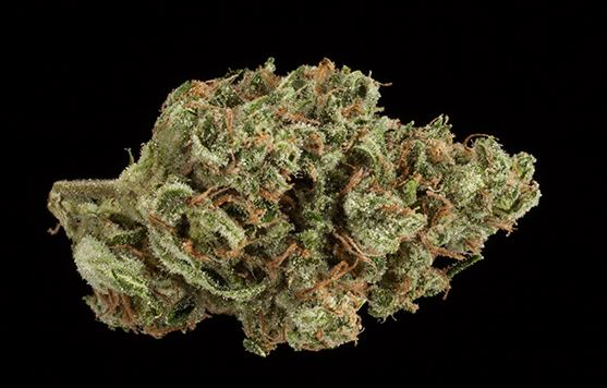 Ghost Train Haze #13