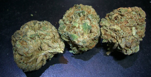 Medical Marijuana Saves Thousands of Lives