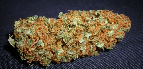 Marijuana Doesn't Shirk Brain Study Reveals