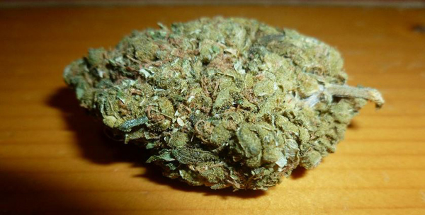 10 Funny Facts About Cannabis