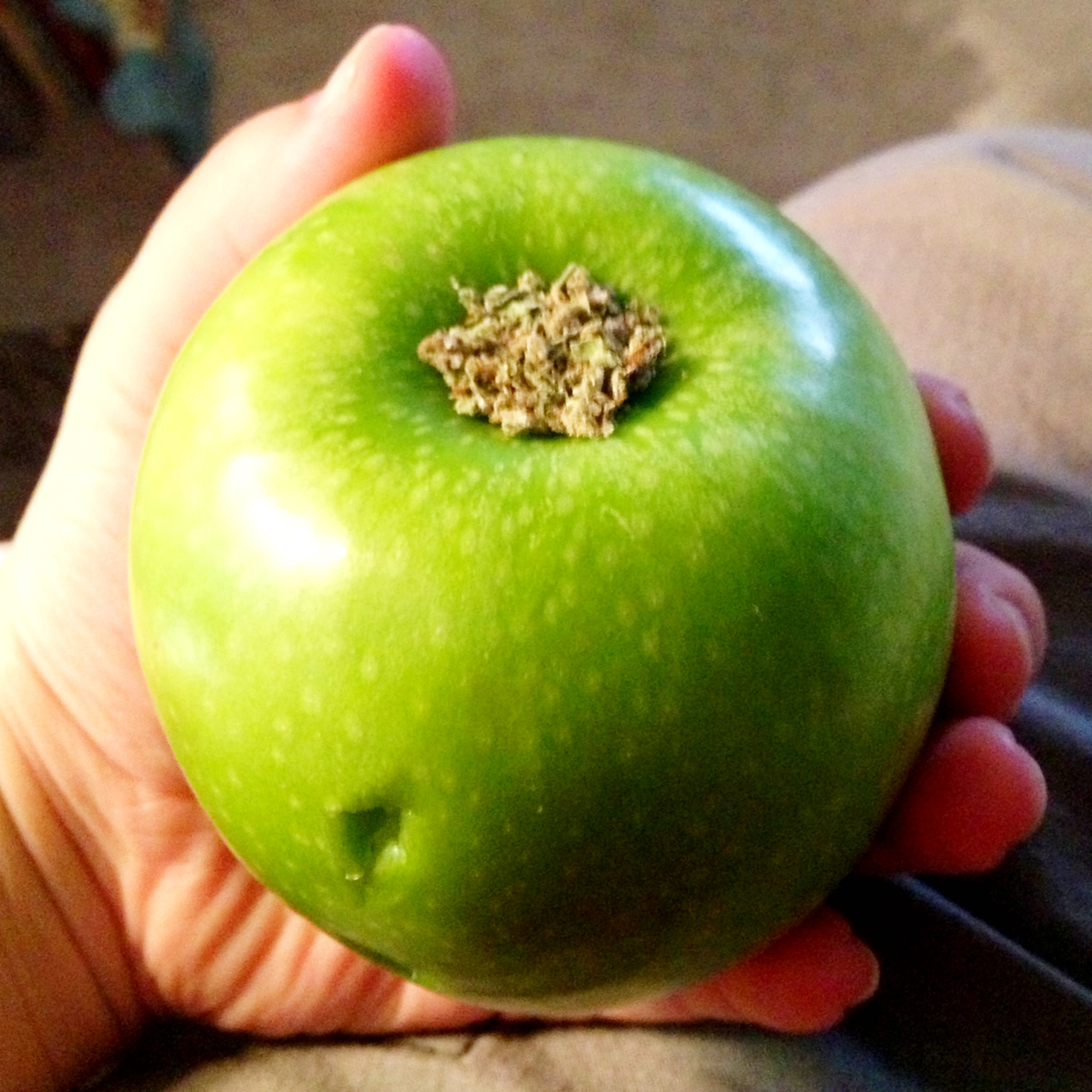 tumblr_mbhqf6zZOX1qjasifo1_1280