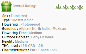 Barneys Farm Phatt Fruity