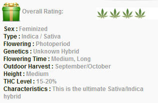 Barneys Farm Sweet Tooth