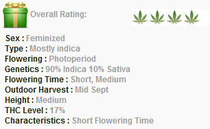 Delicious Seeds Fruity Chronic Juice