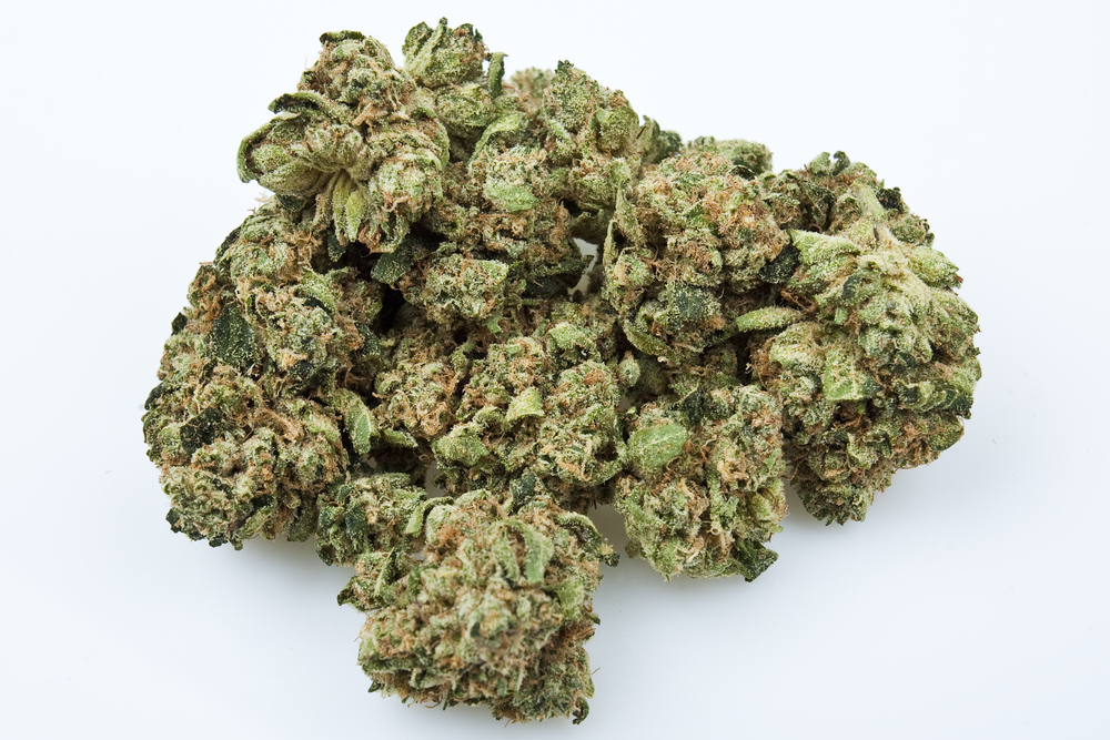 Democrats Seek to End Federal Intervention of Medical Marijuana