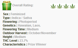 Green House Seeds Hawaiian Snow