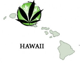 Hawaii Medical Marijuana Laws