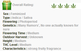 G13 Labs Pineapple Express