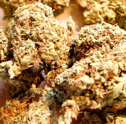 Barneys Farm Pineapple Chunk