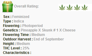 Barneys Farm Pineapple Chunk