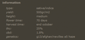 barneys farm tangerine dream