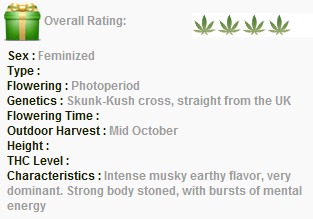 Green House Seeds Cheese