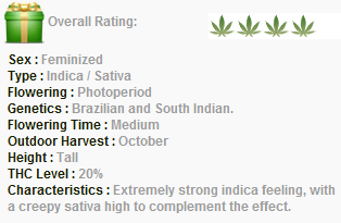 Green House Seeds White Widow