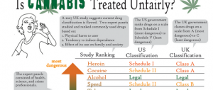 Is Cannabis Treated Unfairly Infographic item-thumbnail