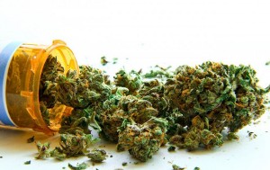 Marijuana Safer Than ‘Every Other Medicine’ Says Doctor
