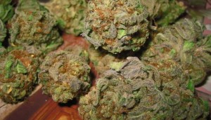 High-Quality Marijuana Delivered to Your Door Each Month