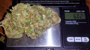 Study Reveals 4 Major Benefits of Cannabis for PTSD