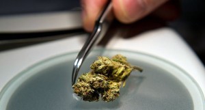 3 Super Cool Facts Every Marijuana Consumer Must Know