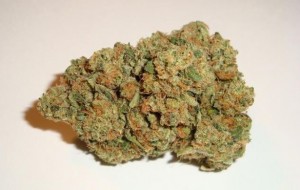 Cannabis Treatment Helps 9 Year Old Boy Speak His First Words