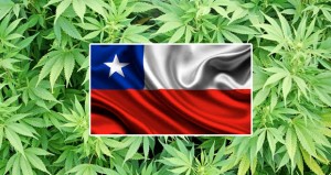 Chile Approves Historic Marijuana Decriminalization Bill