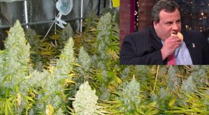 Chris Christie Would Shut Down Marijuana In Legal States item-thumbnail