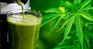 Crazy Health Benefits of Juicing Raw Cannabis item-thumbnail
