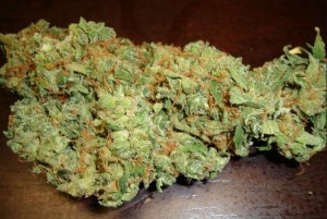 In Historic Vote, Senate Appropriations Committee Approves Veterans Medical Marijuana Amendment