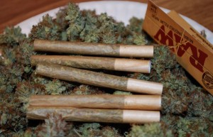 Marijuana Advocates Pushing for a New Weed-Friendly DEA Chief