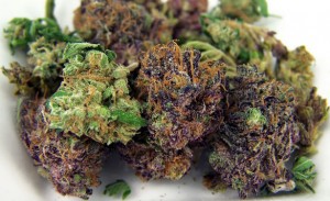 Marijuana Has Denver Real Estate Market Blazing