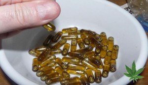 Marijuana Oil Now Allowed in Virginia