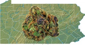 Medical Marijuana Legalization Passes Pa. Senate with a 40-7 Vote