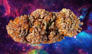 NASA Discovers THC on Meteorite Fragment