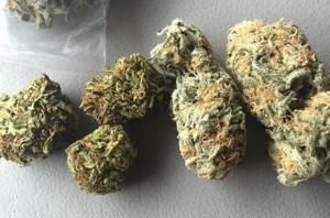 Ohio Marijuana Legalization Gets Enough Signatures For Ballot