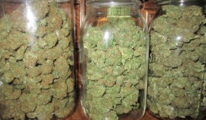 Oregon To Start Recreational Marijuana Sales Early item-thumbnail