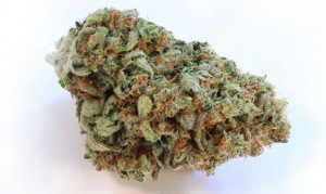 Passengers Can Now Carry Marijuana On Oregon Flights