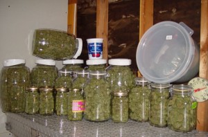 Vermont Likely Next State To Legalize Recreational Marijuana